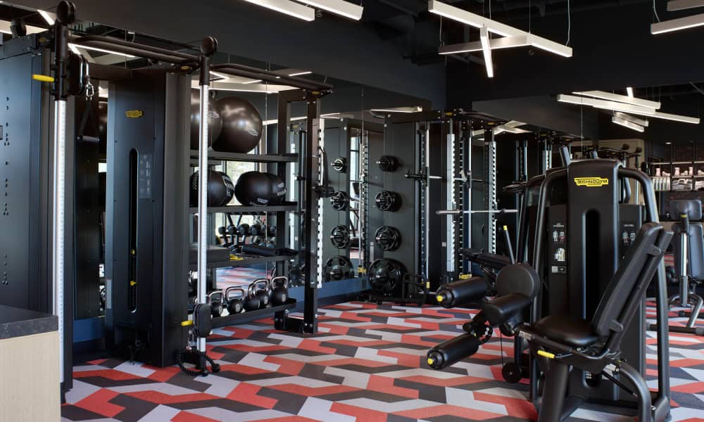 Modern fitness center featuring Technogym strength training equipment, free weights, and exercise machines.